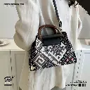 Copy of BT007_20250224_220647_0008.webp