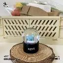 FF Template (Square)_20250510_202048_0006.webp