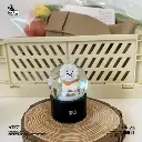 Cartoon Crystal Ball Ornament BTS-Inspired Resin Snow Globe Gift