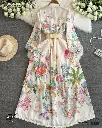  French Court-Style Lace Detail &  Button Front V-Neck Long Dress  