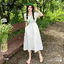 High-Waist A-Line Puff Sleeve Dress 